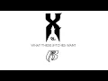 DMX - What These Bitches Want (ft. Sisqó)