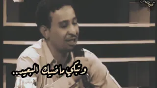 محمود عبد العزيز الماضي والحاضر 