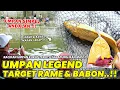 UMPAN LEGEND TARGET RAME \u0026 INDUK !! RACIKAN JITU UMPAN UBI KUKUS LOMBA GALAPUNG IKAN MAS ❗❗