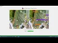 Python - End API for Machine Learning Projects Example Paprika Plant Disease Detector