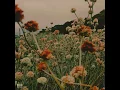 Spring Love - Eric Nam ft. Wendy English Lyrics