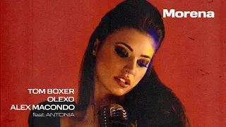 Tom Boxer, OLEXO, Alex Macondo (feat. Antonia) - Morena | Visualizer