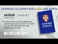 Internet slang like skibidi and delulu added to Cambridge Dictionary