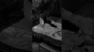 صباح الحب صباحي أنت صباحيات حب ستوريات انستا صباح الخير حبيبي مقاطع رومنسية 