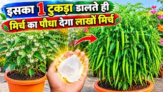 खेती में फिटकरी के फायदे पैदावार होगी डबल | kheti me fitkari ke fayde | kheti mein fitkari ka upyog