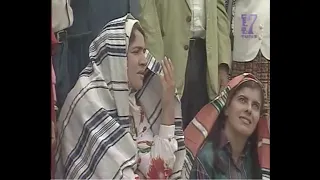 وحش السرا و برودة حسابات و عقابات 