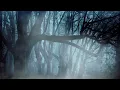 Silent Rhythm Fall Into Sleep Instantly