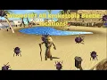Wizard101 Krokotopia Finding the Beetles locations