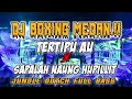 Download Lagu DJ TERTIPU AU X SAPALAH NAUNG HUPILLIT., JUNGLE DUTCH FULL BASS TERBARU 2025