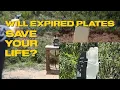 Do Expired Ceramic Plates Still Work
