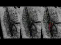 Double Loop Podcast Compares Fingerprints - April 2021