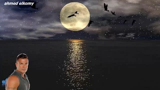 ريحه الحبايب عمرو دياب كلمات اي حاجه تيجي من ريحت الحبايب 