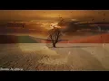 E N Y A  -  Watermark (Cinematic) Full Album