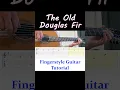 Download Lagu The Old Douglas Fir | Fingerstyle Guitar Tutorial + TABS \u0026 Sheet Music