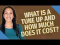What is a tune up and how much does it cost