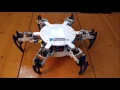 Hexapod Robot