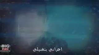 كل جديد مع اسلام فانتا دندنها
