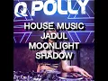 Lagu House Music Jadul - Moonlight Shadow