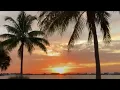 1919 Buccaneer Dr Sarasota Florida 34231 72 900 2bed 2bath Turnkey