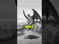 Download Lagu THIS Is What Will Happen To The Fallen Angels