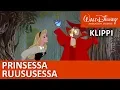 Download Lagu Prinsessa Ruususessa | Eläimet ja prinssin vaatteet – Disney Prinsessat