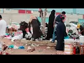 Download Lagu cewek cantik di arab lagi nengembel.