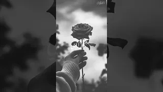 ليل محمدى احتياج واشتياق دندنها