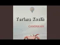 Download Lagu Tak Ada Cinta