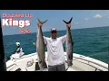 Kingfish Tournament Pre Fishing St Augustine Offshore Fishing