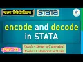 Encode and Decode in STATA Bangla Tutorial StatEdu