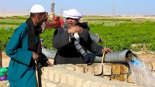 الحاج الضوى شحتوا ابنه رجع من السعوديه وهيزرع كنتالوب 