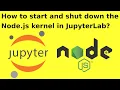 How to start and shut down the Node js kernel in JupyterLab