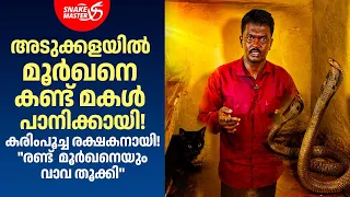 കരിമ്പൂച്ച രക്ഷകനായി; "ഒന്നല്ല, രണ്ട് മൂർഖൻ!" | Cobra Rescue by Vava Suresh | Snakemaster EP 1218