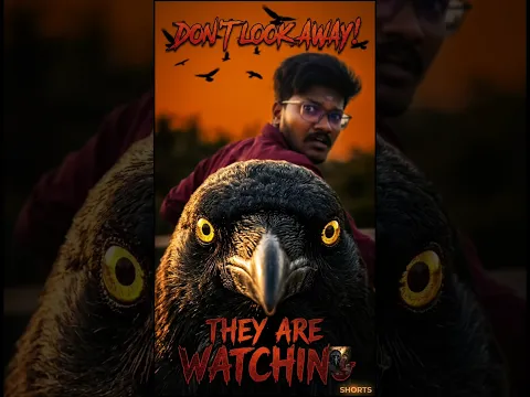 Don't Tease a crow 🐦‍⬛😱