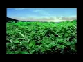 Download Lagu Iklan LA Menthol (2006-2018)