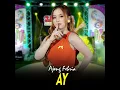 Ay (Dangdut Koplo) - Ajeng Febria