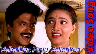 Download Vellerikka Pinju Vellerikka Video Song HD | Kadhal Kottai | Ajith Kumar | Devayani | Tamil Song MP3