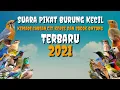Suara Pikat Burung Kecil || Kemade, Cabean, Cit Keres Dan Sogok Ontong