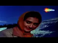 Chahe Koi Mujhe Junglee Kahe | Junglee (1961) | Mohd Rafi | Shammi Kapoor, Saira Banu Superhit Song