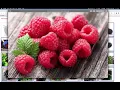 Fruit Classification Machine Learning iOS Building Machine Learning Model