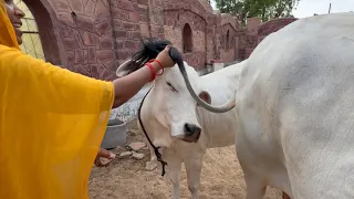 Vrinda ki Nazar utari Mummy ne