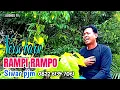 RAMPI RAMPO VERSI BARU SIWAR PJM Arr Henri Tole Audio PJM ENTERTAIN