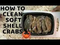 How to properly clean soft shell crabs fast and easy in 2020 by The Oyster Ninja Gardner Douglas