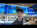 I Found the Craziest Exotic Pet Store Near Me