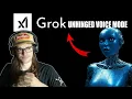 Lagu I Talked to Grok AI's UNHINGED AI Voice Model and it got WEIRD...