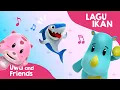 Download Lagu Di Mana Ikan, Di Mana Semut - Lagu Ikan - Lagu Anak Indonesia - Mengenal Hewan dan Habitat