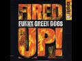 Lagu Funky Green Dogs - Fired Up (2023) - Dj Ari Exclusive  Mashup