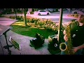 Download Lagu Turn Your Love Around - George Benson (Saxophone Cover by Zach Spruill) [Live]