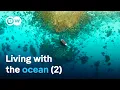 Treasure islands in the Pacific - From the Chatham Islands to Enewetak DW Documentary