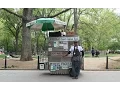 Download Lagu Famed Dosa Man Of Washington Square Park